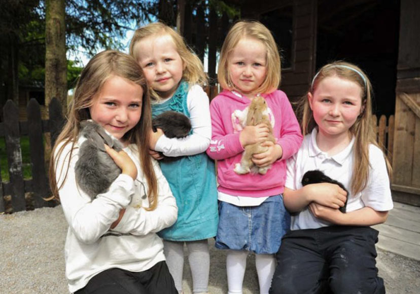 4 girls holding baby rabbits at Glendeer Pet Farm.